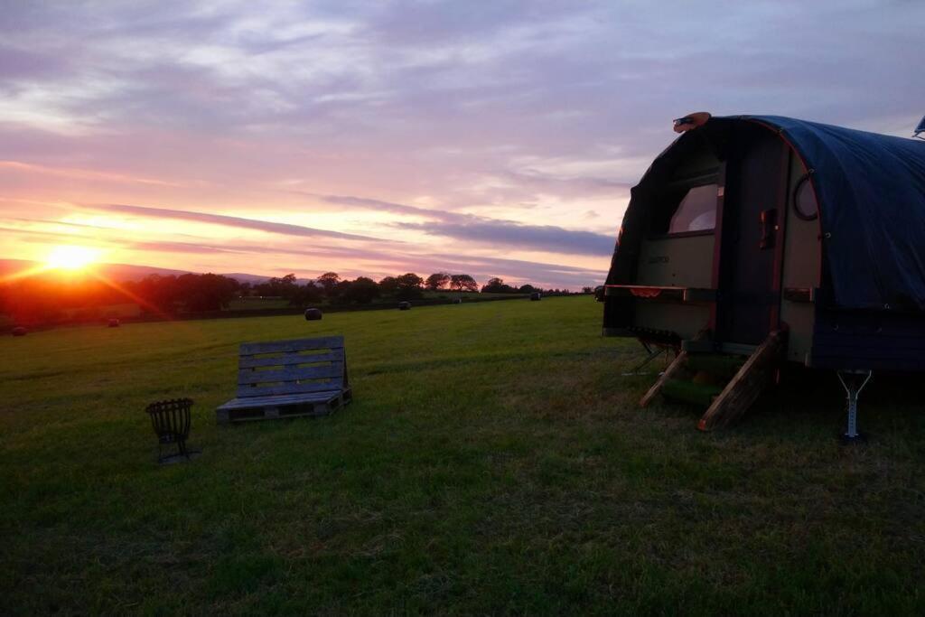 Camping Little Middop Farm Pods