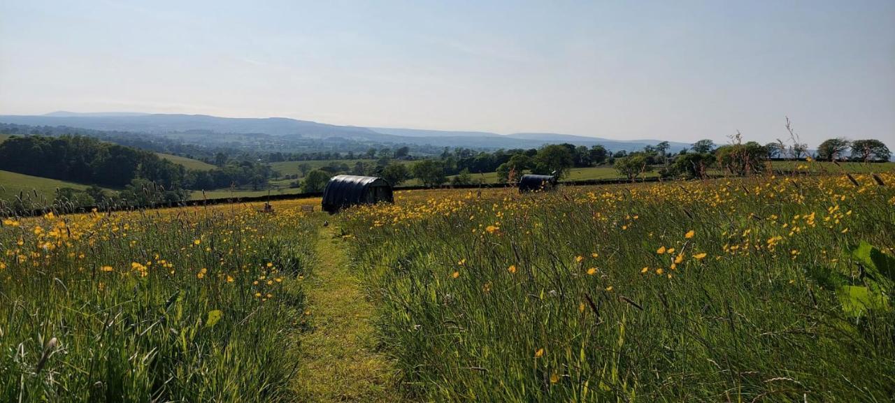 Little Middop Farm Pods *